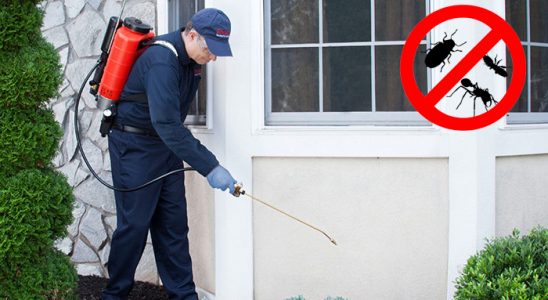Seydikemer Kene İlaçlama böcek ilaçlama ve haşere kontrolü — ilaclama-tr.com